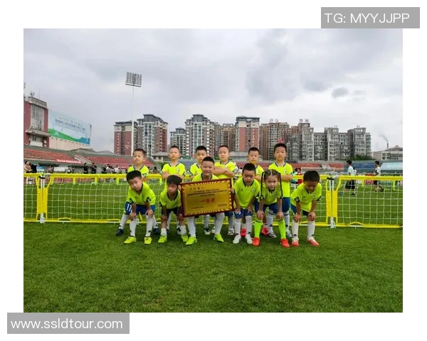 青海卫视足球直播精彩赛事回顾与分析尽在这里让我们一起感受足球魅力